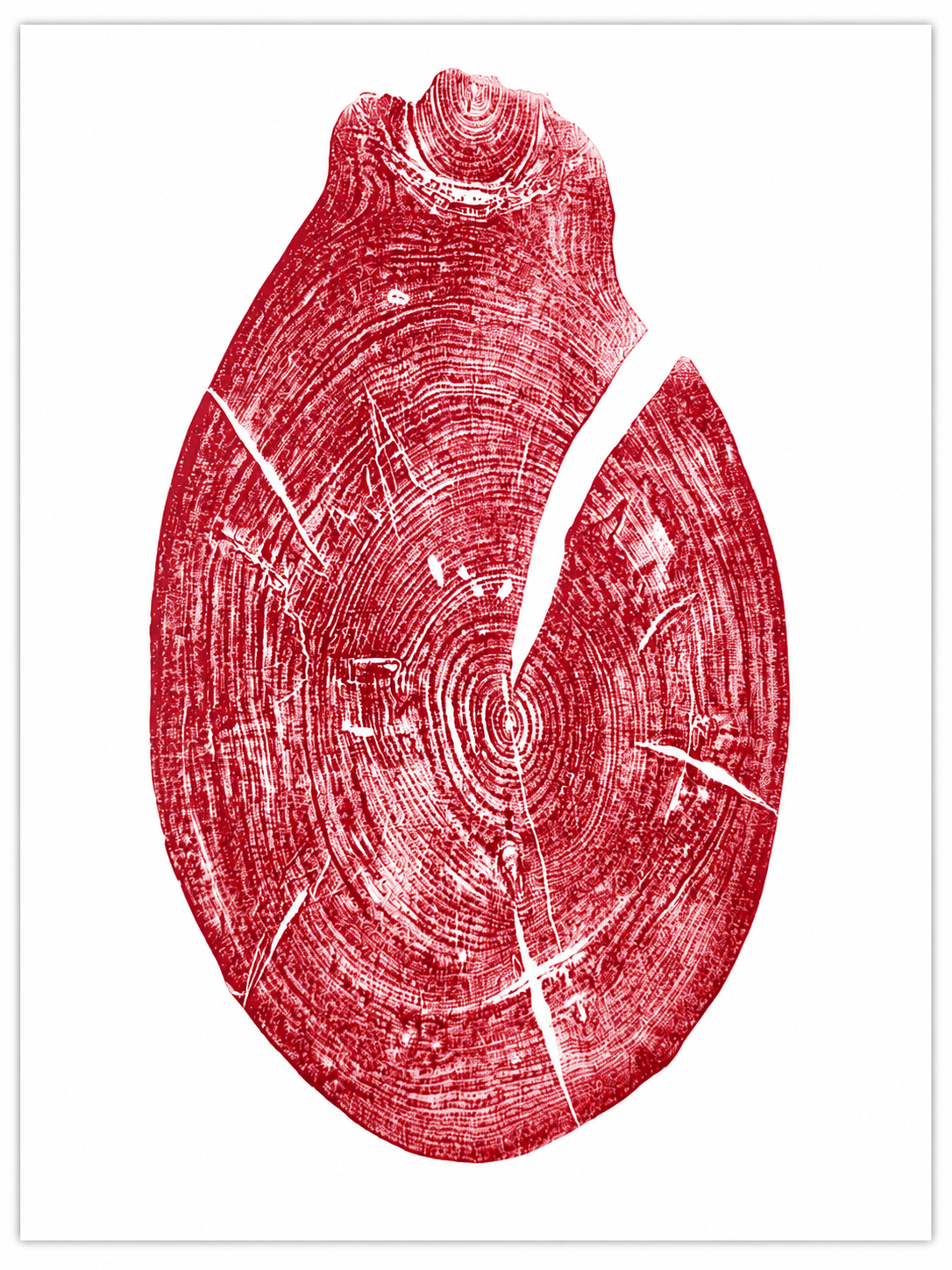 Ambrosia