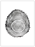 Eggberto original hand-pulled pine tree ring print in black ink on white paper
