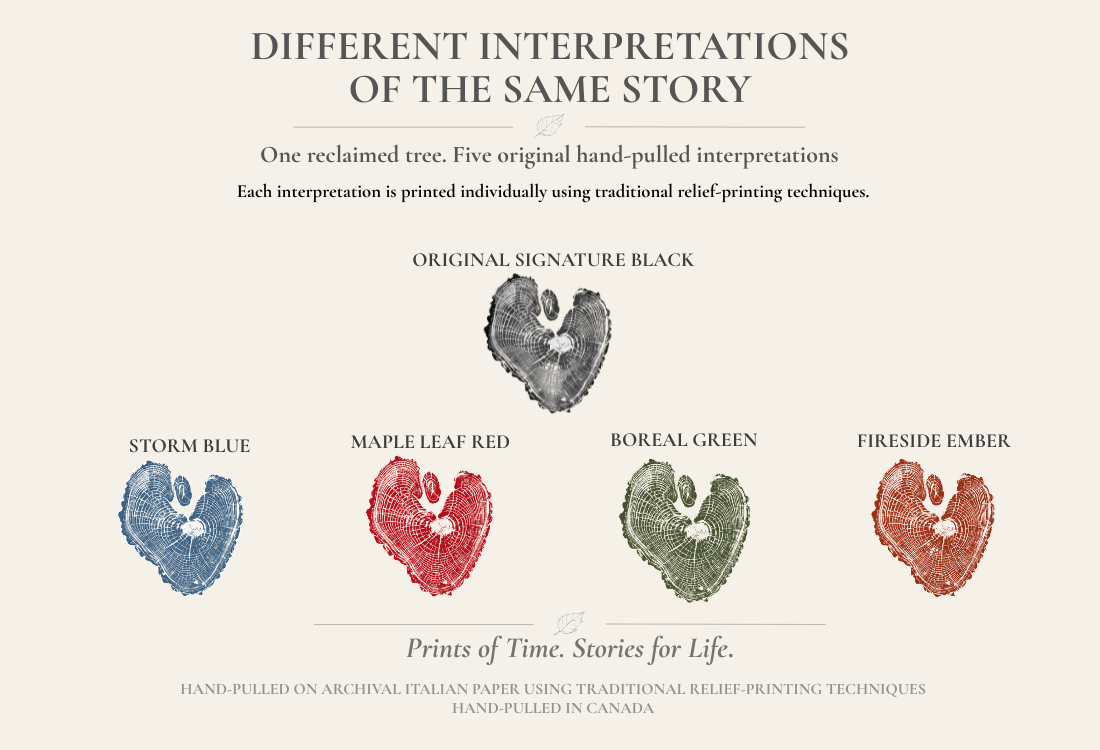 Different Interpretations of the Same Story