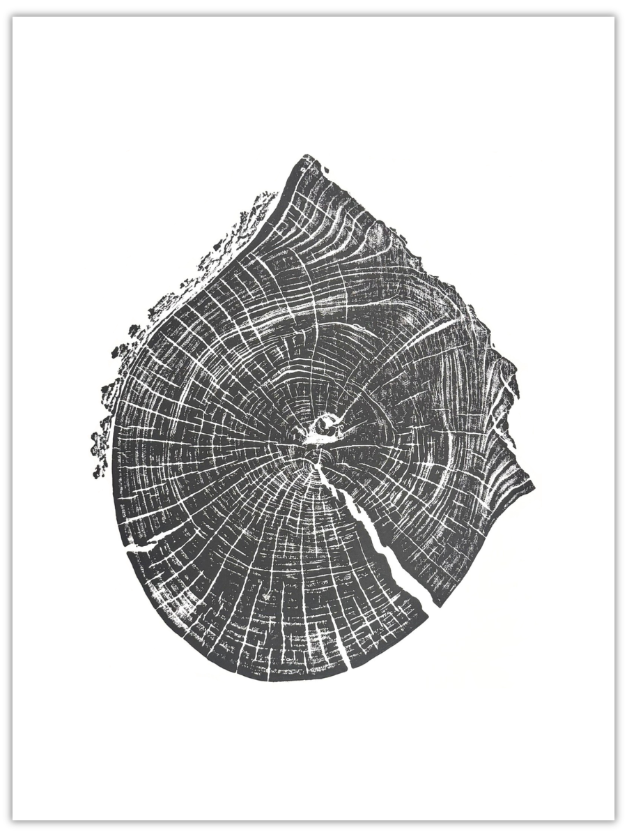 Lightning in the Mountains original hand-pulled black walnut tree ring print with two distinct centres in black ink on white paper
