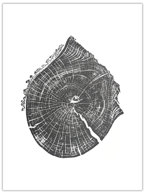 Lightning in the Mountains original hand-pulled black walnut tree ring print with two distinct centres in black ink on white paper