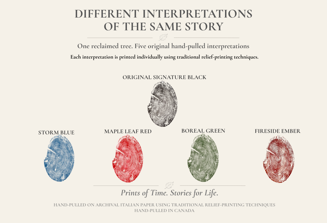 Different Interpretations of the Same Story