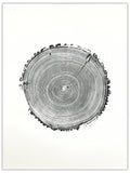Record Player original hand-pulled pine tree ring print with concentric rings resembling a vinyl record in black ink on white paper