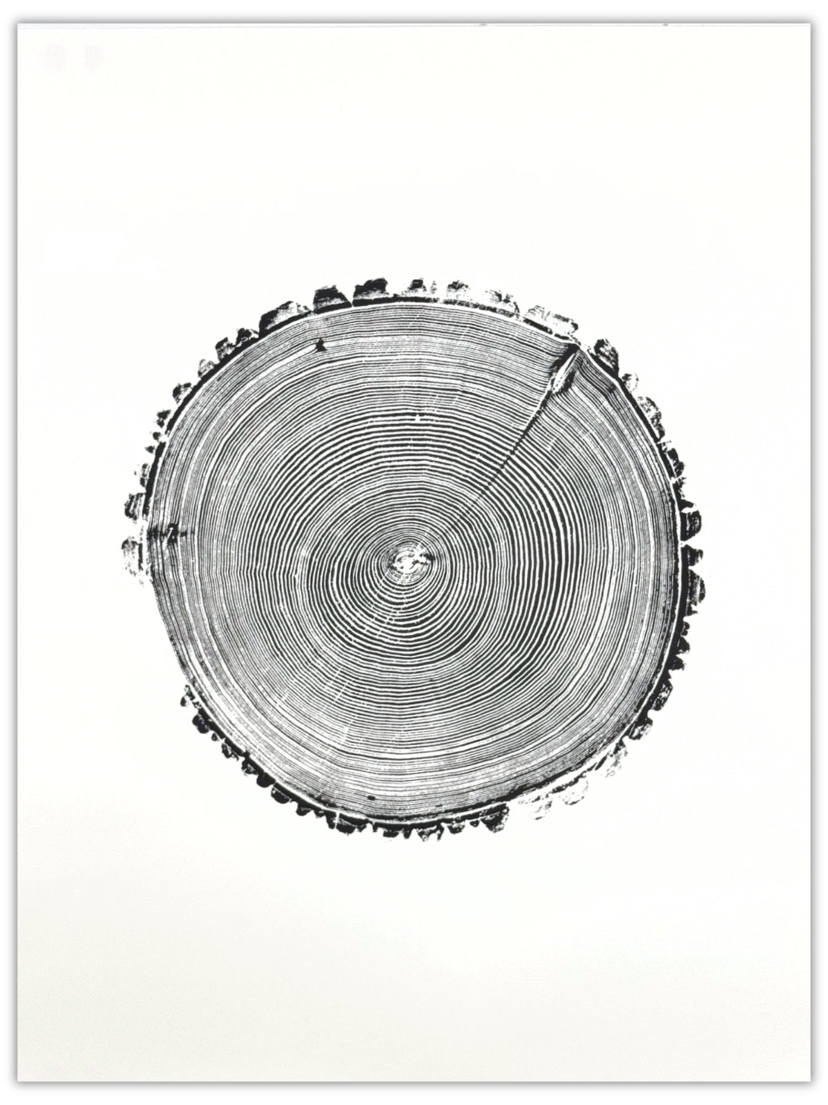 Record Player original hand-pulled pine tree ring print with concentric rings resembling a vinyl record in black ink on white paper