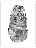 Russian Doll original hand-pulled ash tree ring print with nested growth forms in black ink on white paper