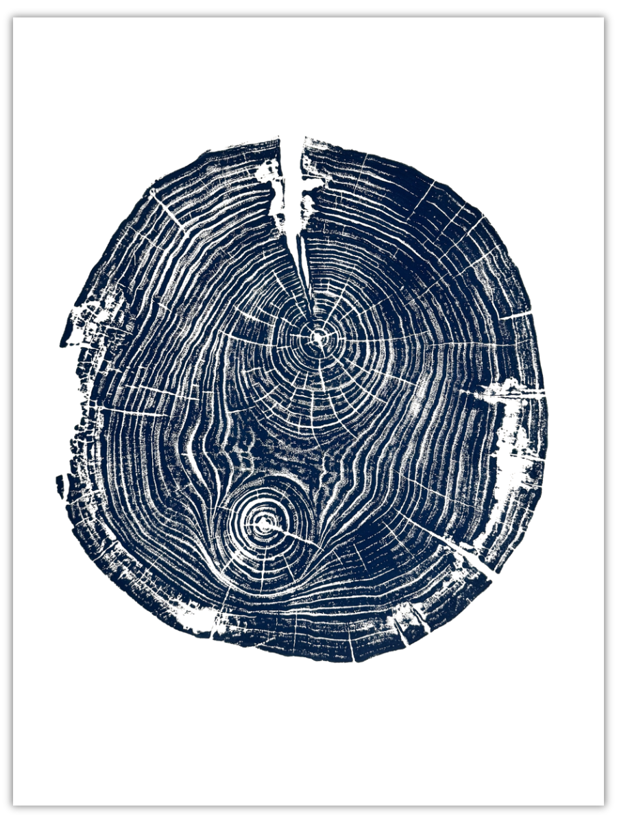 Symphysis