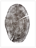 Wally original hand-pulled black walnut tree ring print with a prominent natural split in black ink on white paper